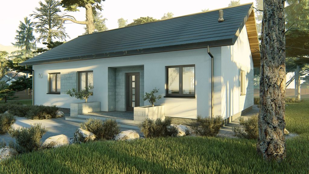 dom parterowy z dachem dwuspadowym KP-101 LUSTRO 1